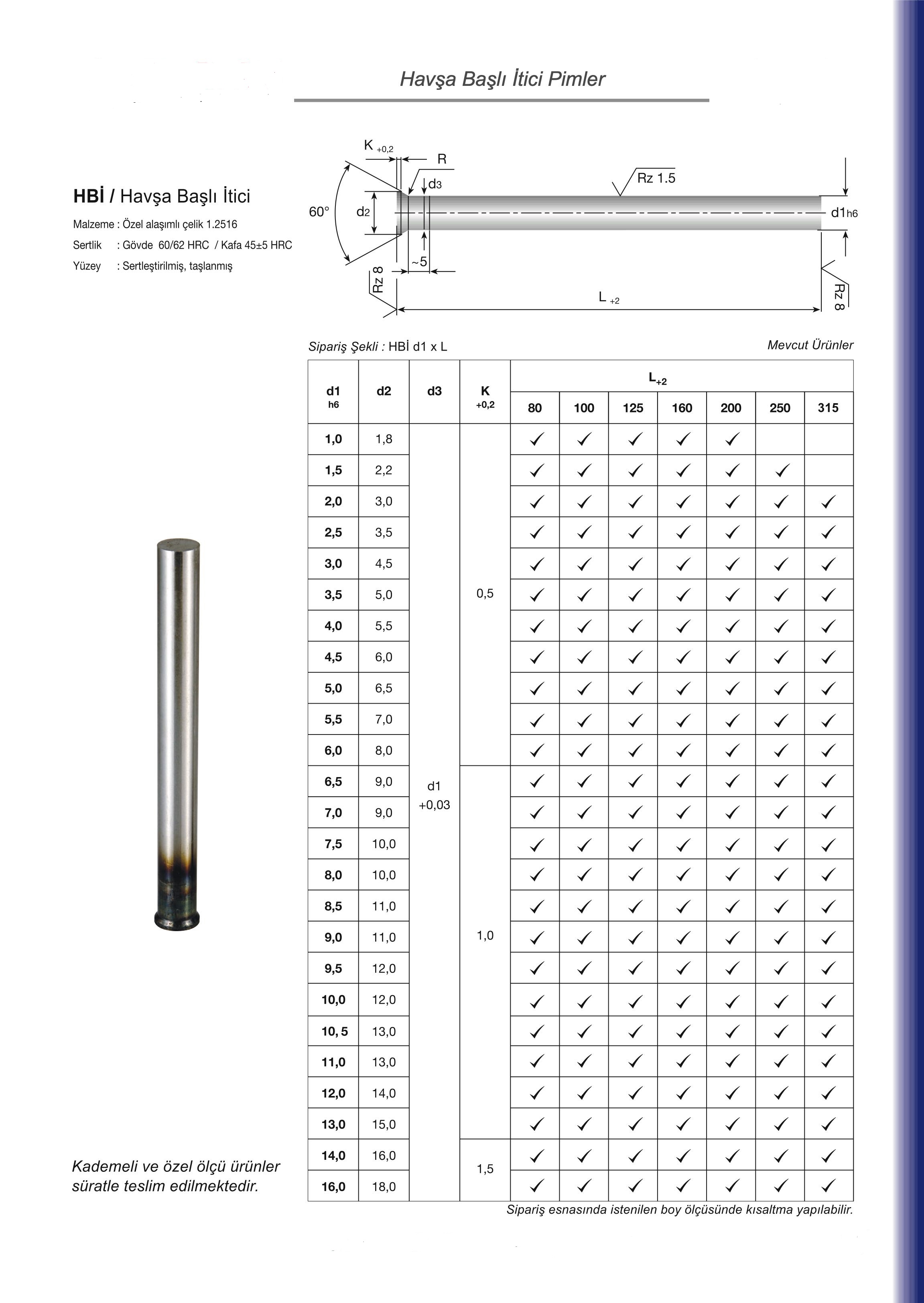 Havşa Başlı İtici Pim